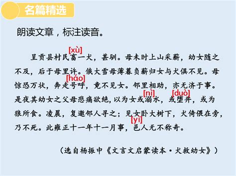 第5讲 文言文古今异义（一）中考语文文言文知识梳理与中考高频考点及技巧 课件（共44张ppt） 21世纪教育网