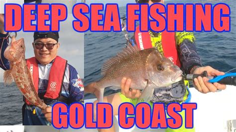 Gold Coast Deep Sea Fishing Snapper And Tailor Youtube