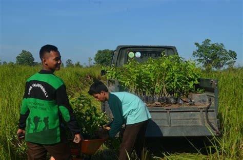 The Sumatra Reforestation Program One Year Later International