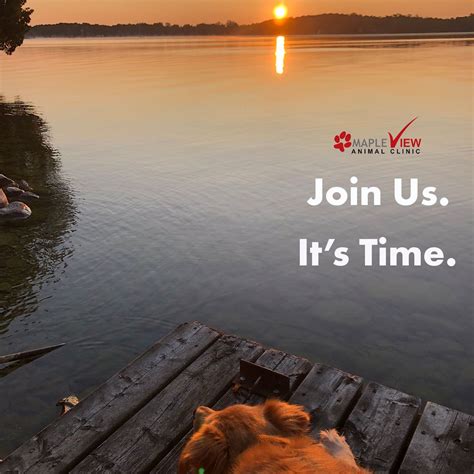 P3 Veterinary Partners On Linkedin Mapleview Animal Clinic In Barrie