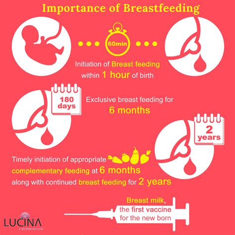 Breast Pumping Handbook The Ultimate Guide To Expressing Milk Artofit