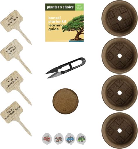 Planters Choice Bonsai Starter Kit The Complete Growing Kit To