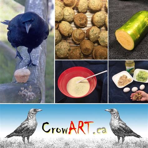 Food And Recipes For Crows Approved By Edgar Allen Crow