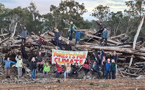 Threatened Forrest Tour 2 Northern Jarrah Forests Wa Forest Alliance