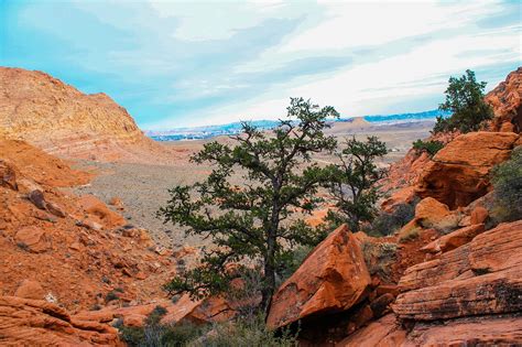 Utah,red rocks,red,national,park - free image from needpix.com