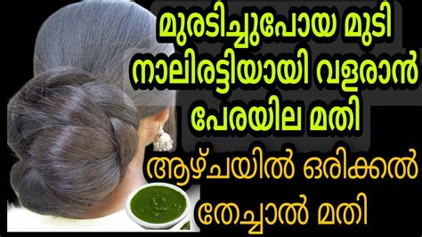 എത്ര തലയോട്ടി തെളിഞ്ഞു കാണുന്നവർക്കു പോലും മുടി കട്ടിയിൽ വളരാൻ പേര ഇല വെള്ളം Thick Hair Growth