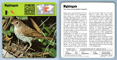 Nightingale Birds 1970 S Rencontre Safari Wildlife Card