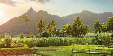 Beste Reisezeit für Mauritius Klima Jahreszeiten Vieles mehr