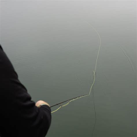 fly line for musky 2