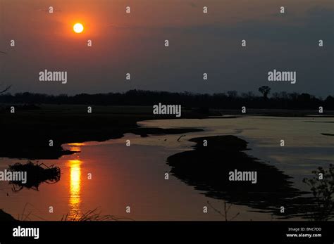 Atardecer En El R O Luangwa El Parque Nacional Luangwa Del Sur Zambia