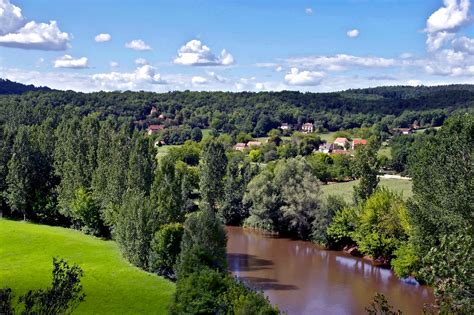 Gratis Billeder Landskab Tr Vand Natur Skov Bjerg Plante