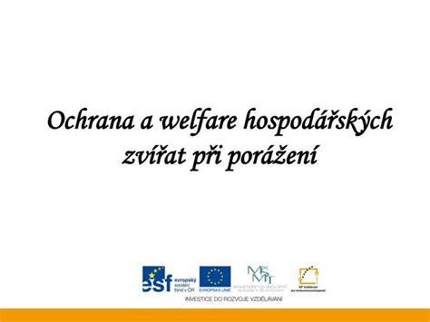 Ppt Ochrana A Welfare Hospod Sk Ch Zv At P I Por En Powerpoint