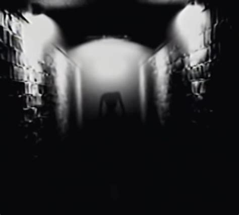 Cursedwalk Rcursedcursedcomments