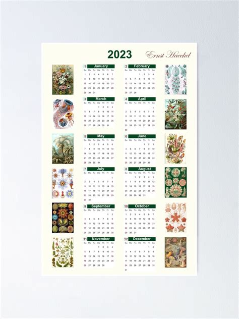 Kunstformen Der Natur Kalender Gabie Jocelyn