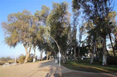 Imágenes de la inauguración de la remodelación del entorno del