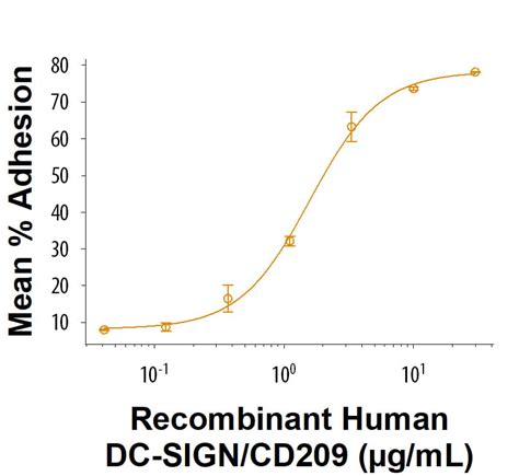 Recombinant Human DC SIGN CD209 Fc Chimera Protein CF 11265 DC 050 R