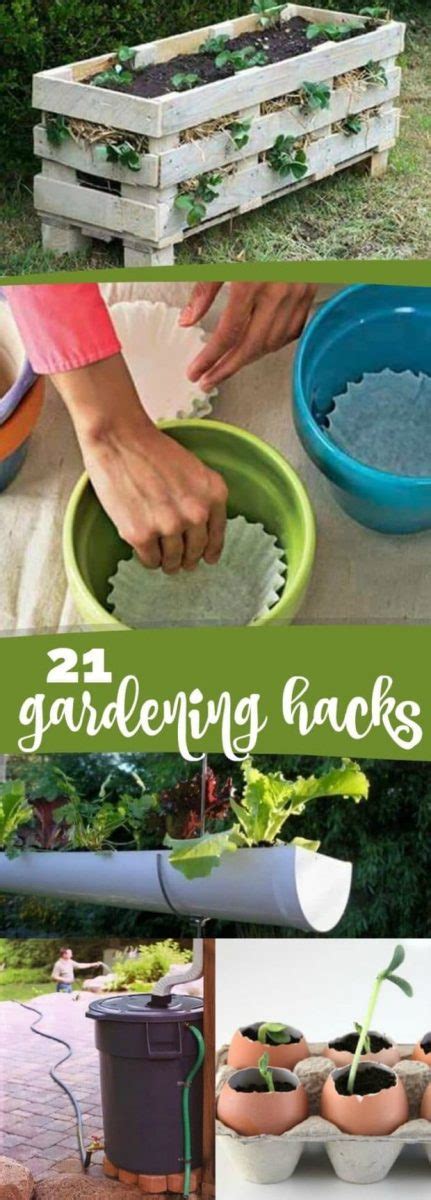 Garden Hacks Ideas Resipes My Familly