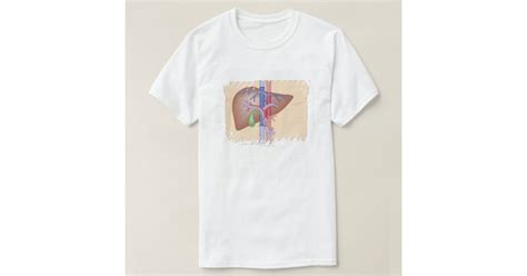 Liver Transplant Procedure T Shirt Zazzle
