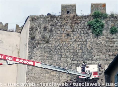 Porta Della Verit Cadono Calcinacci Dalle Mura Castellane Tusciaweb Eu