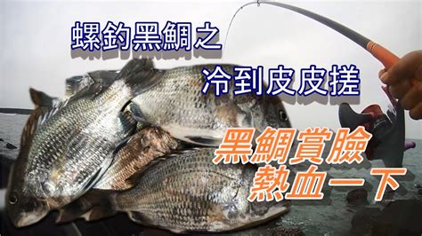 螺釣黑鯛之熱血黑鯛，冷到皮皮挫黑鯛大咬了 磯釣 螺釣 黑鯛 浮標 金寶螺 海釣 釣魚 Youtube