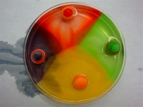 A Middle School Survival Guide: Gobstopper Science