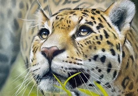 Jean Pritchard Paintings For Sale Carnes Fine Art