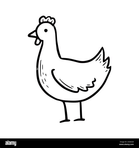 Hand Drawn Farm Chicken Doodle Sketch Style Drawing Line Simple