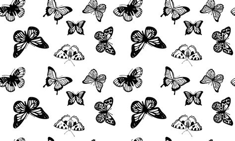 Black And White Butterfly Wallpapers - Wallpaper Cave