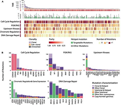 Genomic Heterogeneity Of Glioblastomas And Distribution Of Recurring