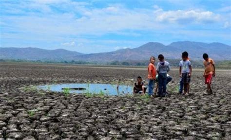 Cient Ficos Estudian El Impacto Del Cambio Clim Tico En El Corredor