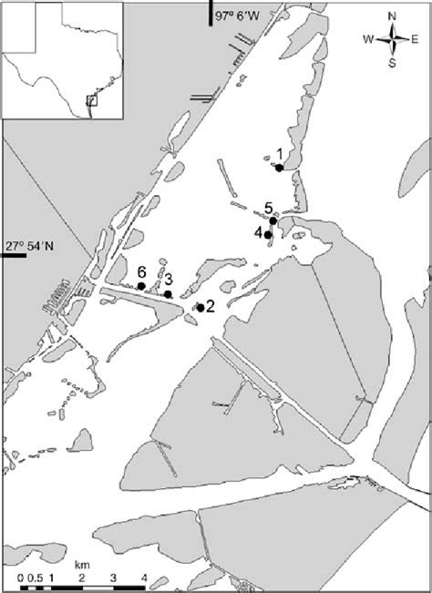 Figure 1 from The effect of boat propeller scarring intensity on ...