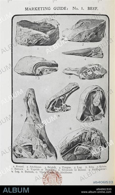 Isabella Mary Beeton And Anon Various Cuts Of Beef Mrs Beeton S