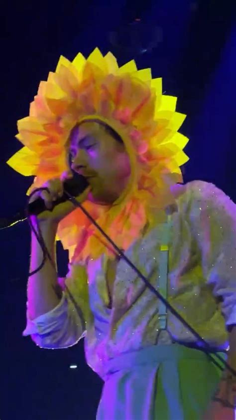 Sunflower Harry Harry Styles Cantando Harry Styles Frases Bonitas