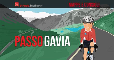 Salita Passo Gavia In Bici Da Corsa Mappa E Consigli