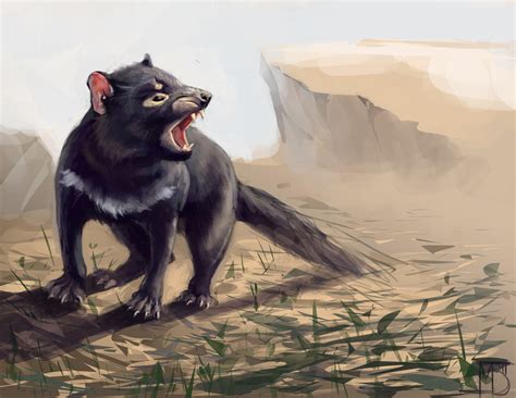 Tasmanian Devil Wallpapers - Top Free Tasmanian Devil Backgrounds ...