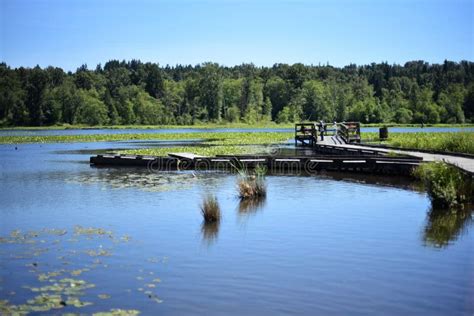 A View of the Burnaby Lake Regional Park Stock Image - Image of pacific ...