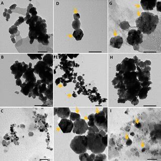 Tem Micrographs Of The Zn Nps A B C Zno Nps D E F Zno Agnps G