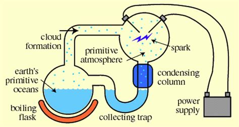 Life In A Bottle The Millerurey Experiment Search Of Life