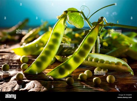 Pea Pods Backlit Stock Photo Alamy