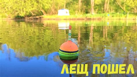 ВЕСЕННИЙ ЛЕЩ НА ПОПЛАВОК С БЕРЕГА! Рыбалка с Ночевкой. - YouTube