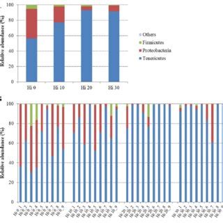 Relative Abundance Of The Overall Most Prevalent Bacterial Families