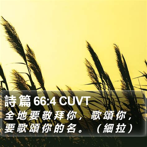 詩 篇 664 Cuvt 全 地 要 敬 拜 你 ， 歌 頌 你 ， 要