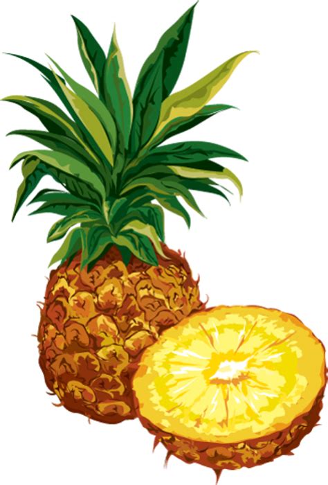 Pineapple With Slice Clip Art Free Image Download