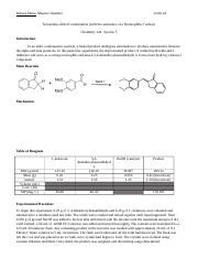 Lab Report Experiment Docx Rebeca Mena Maurice Dantzler