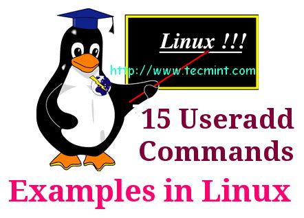 Le Guide Complet De La Commande Useradd Dans Linux Exemples