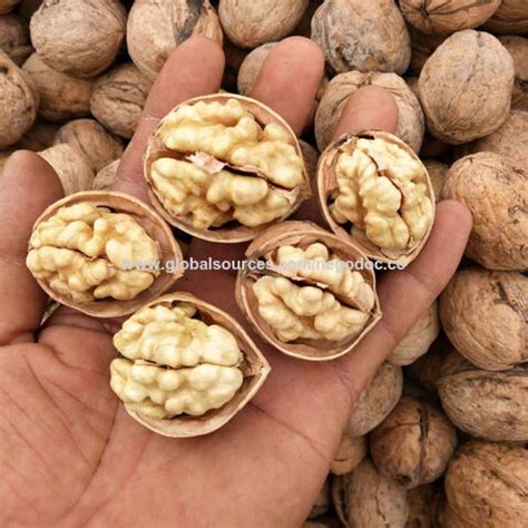 Buy Wholesale France New Crop Walnut Kernel Walnut Whole Walnut