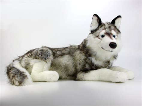 Kuscheltier Plüsch Husky Hund XXL liegend Plüschtier Stofftier 100 cm