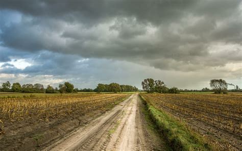 The Importance Of Having Crop Hail Insurance For Your Colorado Farm