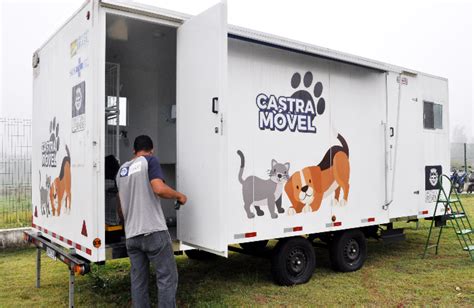 Prefeitura Inicia Agendamento Para Castra O De C Es E Gatos Nesta