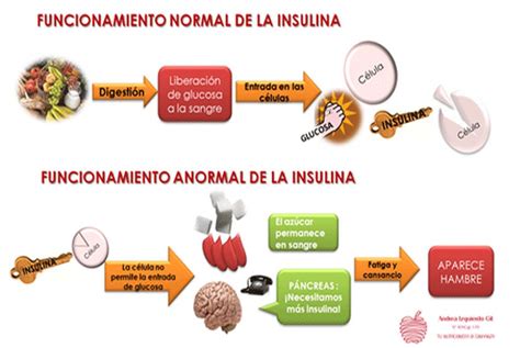 Diabetes Resistencia A La Insulinadiabetes